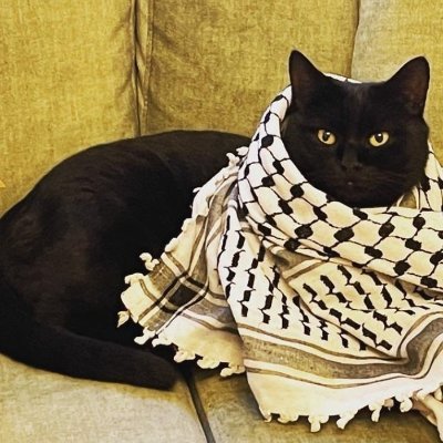 colebaker_25's profile picture. Our victory will be the laughter of our children  🇵🇸