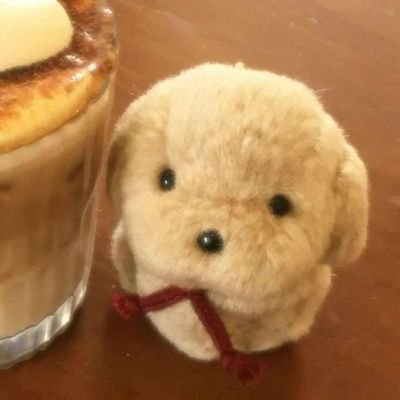 zezhou5200's profile picture. 