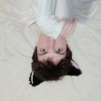 Quiet 🇮🇪 (@irishkinktwink) 's Twitter Profile