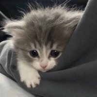 Xtra_su珟 (@sunshinesuno3) 's Twitter Profile Photo