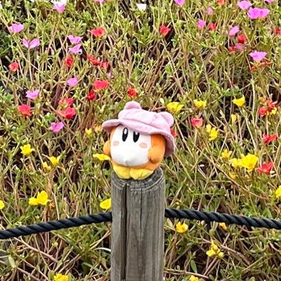 いきるさんのプロフィール画像