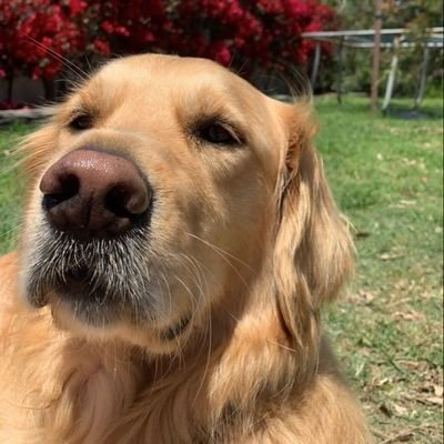 KeanuReeve71837's profile picture. “I don’t understand why people get mad when they get rejected by somebody or something. They have done you a favor by not wasting your time and playing with you