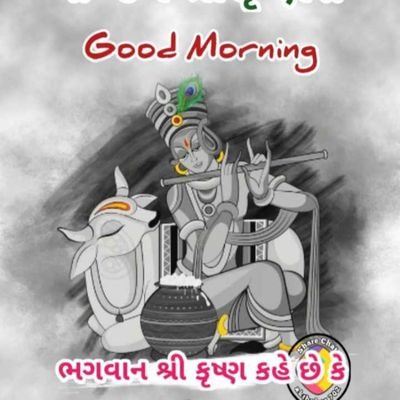 DineshRajp82513's profile picture. 