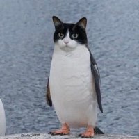 돼지불백 (@6gtmwd) 's Twitter Profile Photo