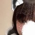 ふしふぇに (@mcnairursu16438) Twitter profile photo ふしふぇに (@mcnairursu16438) Twitter profile photo