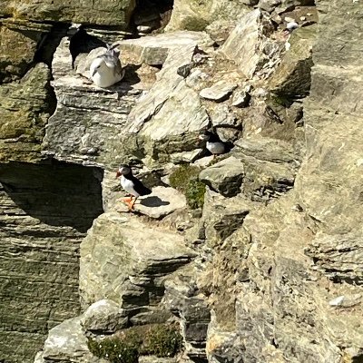 mingbit's profile picture. There is always hope..