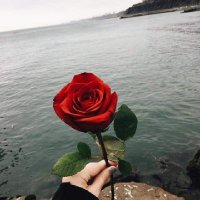 العمده (@emadmokhtar9) 's Twitter Profile