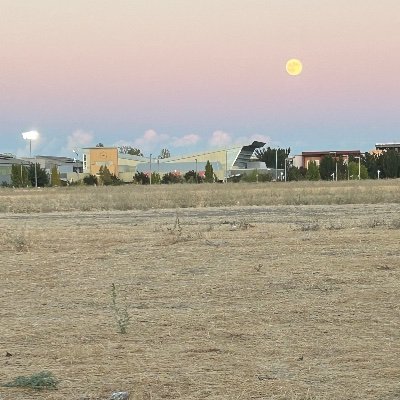 shaka93042's profile picture. 