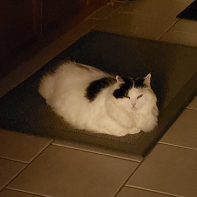 rebeccajamnik's profile picture. One day I will say something really clever here.