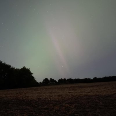 mrpig6000's profile picture. hi