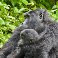 Pam Zirkel (@pamz61) 's Twitter Profile Photo Pam Zirkel (@pamz61) 's Twitter Profile Photo