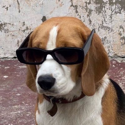 zszsarah's profile picture. I like yellow balls and irish musicians