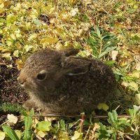 Timoyr (@timoyr3) 's Twitter Profile