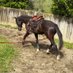 Balmoral Stables (@kannsimone) Twitter profile photo Balmoral Stables (@kannsimone) Twitter profile photo