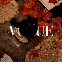 VOGUE SPOOF (@larougedevil) 's Twitter Profile Photo