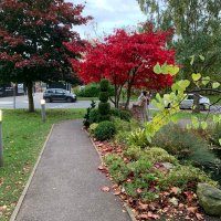 Psychology at Derby (@derbyunipsych) 's Twitter Profile