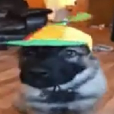 1jznw's profile picture. @cruzeiro