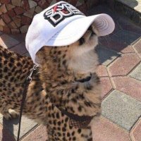 R (@rete4) 's Twitter Profile
