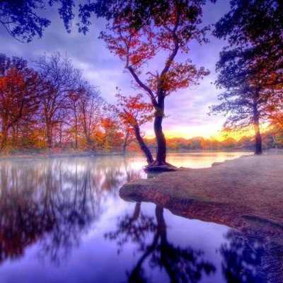 LilaAriVzla's profile picture. Para lograr lo que quieres debes ir tras tus sueños.