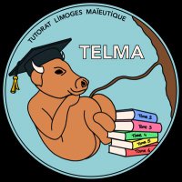 TELMA (@tutorat_telma) 's Twitter Profile