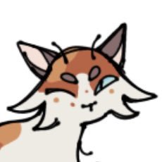 beeさんのプロフィール画像