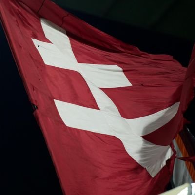 I love mon canari 🐥🔰❤️
#JJG
@FCMetz 🇱🇻
@LDOptimistes
@ADMDFRANCE
@francis1757.bsky.social