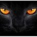 Μαύρος Γάτος 🇬🇷 (@mavros_gatos1) Twitter profile photo Μαύρος Γάτος 🇬🇷 (@mavros_gatos1) Twitter profile photo