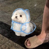 いお (@iona_ad) 's Twitter Profile