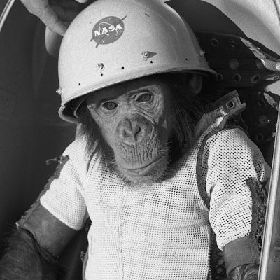 antonydesmeaux's profile picture. 🇨🇵🇪🇺 Prêcheur de la collaboration entre les vivants. Conscient du besoin de nouveaux paradigmes. Foi en l'humanité.