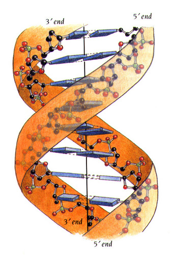 BioTech Info
next biotechnology news