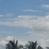 محمد شئث بن امين الله 🤍🍇 (@abu_husayfah) 's Twitter Profile Photo