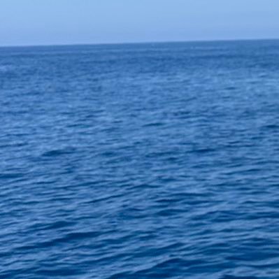 MrRugpulled's profile picture. 