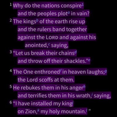 dabulez181's profile picture. 