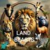 Land Beasts (@landbeasts_) Twitter profile photo Land Beasts (@landbeasts_) Twitter profile photo