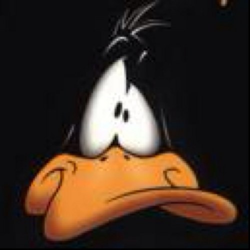 spaddy77's profile picture. 