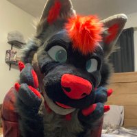 Card 🐺✨🔜 AC (@cardasulv) Twitter profile photo