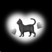 ππππ (@ts_muse) 's Twitter Profile Photo ππππ (@ts_muse) 's Twitter Profile Photo