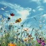 yasukazusasame's profile picture. Attualmente, sto scrivendo un romanzo che rende omaggio a Isaac Asimov, mentre nella mia serie sono in fase di produzione tre sceneggiature, tutte in italiano.