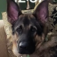Rlester (@rlester6819) 's Twitter Profile
