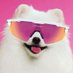Rito (@sowierito) Twitter profile photo Rito (@sowierito) Twitter profile photo