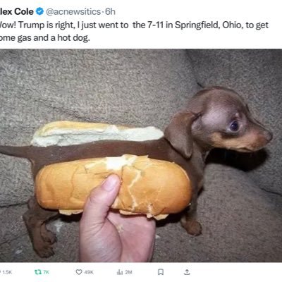 TenaciousAppren's profile picture. MUUUUSKISATRAITOR