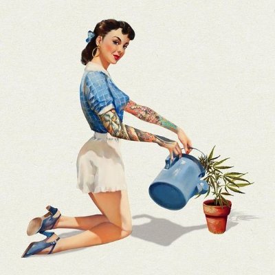 🍁FOLLOW🍁 , if you are interested in
CANNABIS AND HOMEOPATHIC MEDICINE smoke WEED!
Women’s sexual health Pain Manage
Anxiety / Stress Relief! SEX health ...