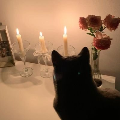 phuwinph0's profile picture. 15 y