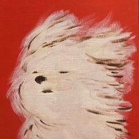 Fabiola Perales 🐾🌱 (@fabiolaoperales) 's Twitter Profile Photo Fabiola Perales 🐾🌱 (@fabiolaoperales) 's Twitter Profile Photo