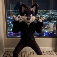PurpleMiru (@purplemiru) 's Twitter Profile Photo PurpleMiru (@purplemiru) 's Twitter Profile Photo