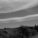 Dora Carrington - @doracarrington - Twitter