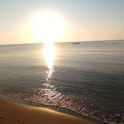 Iman_Zarepour's profile picture. #برای_ایران