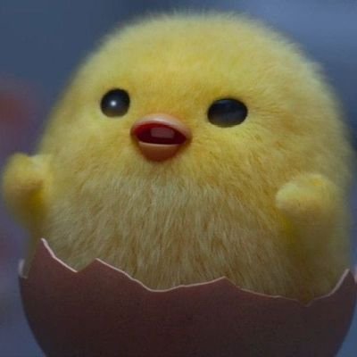 elfiraglads's profile picture. all on Snh48 GNZ48 CGT48 BEJ48 NEW FANS