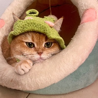 rorz0ne's profile picture. mostly here to make myself laugh. unserious 🧍🏻‍♀️