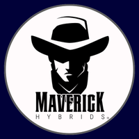 Maverick Hybrids (@maverickhybrids) 's Twitter Profile